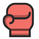Boxing Logo